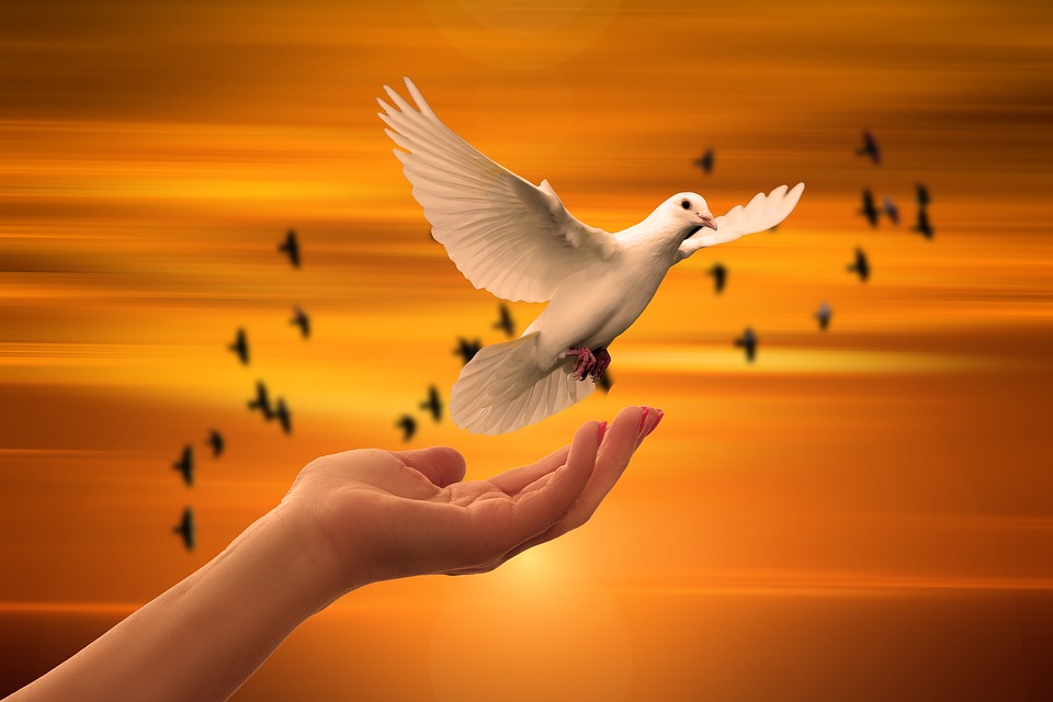 Website Image
