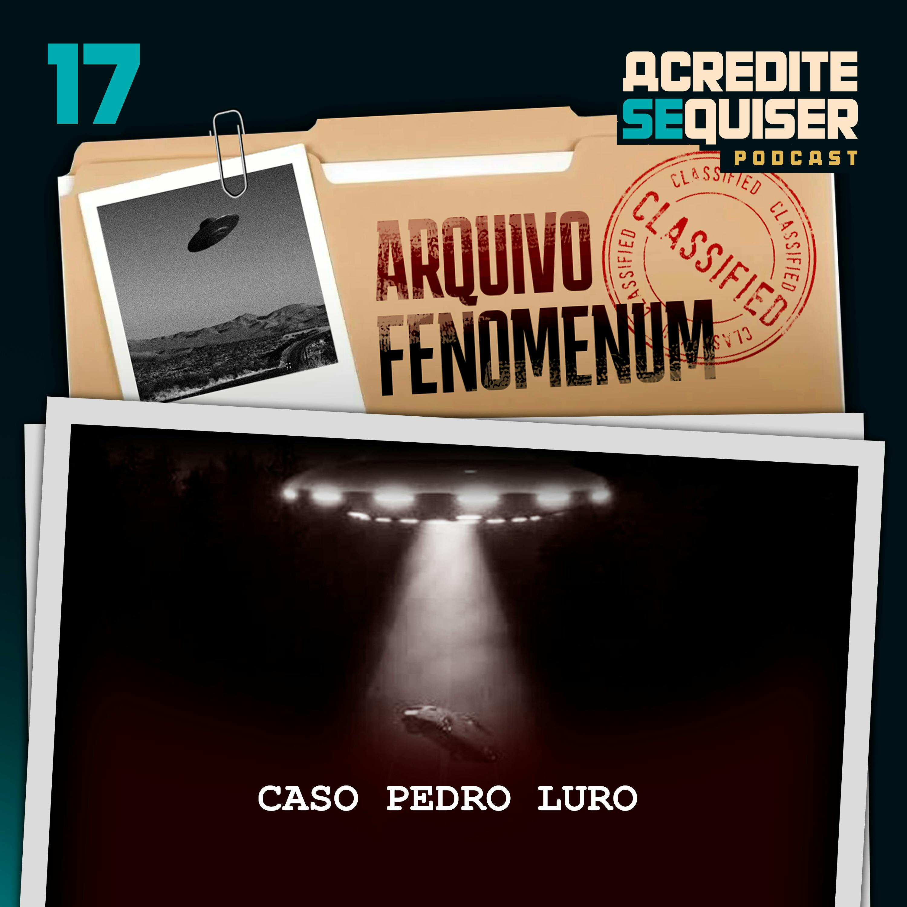 17 - Caso Pedro Luro