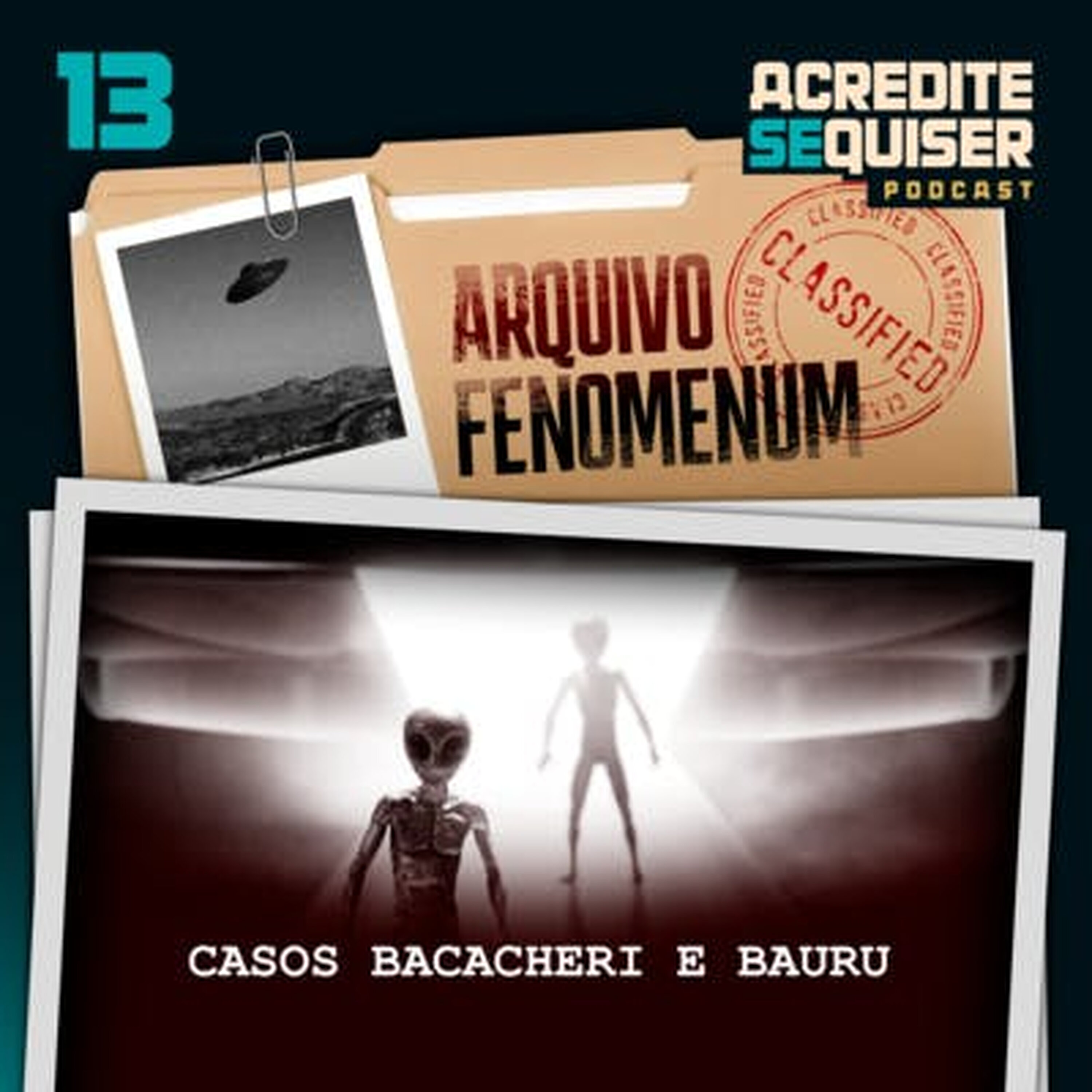 13 - Casos Bacacheri e Bauru