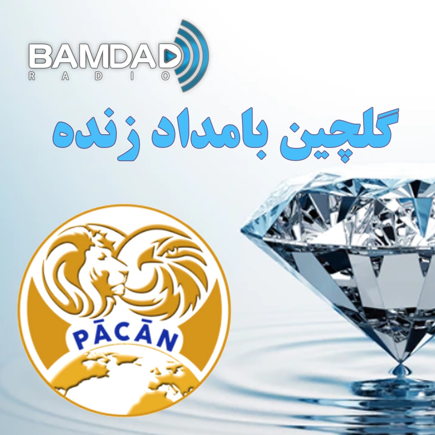 زهره میزراحی - PACAN.US