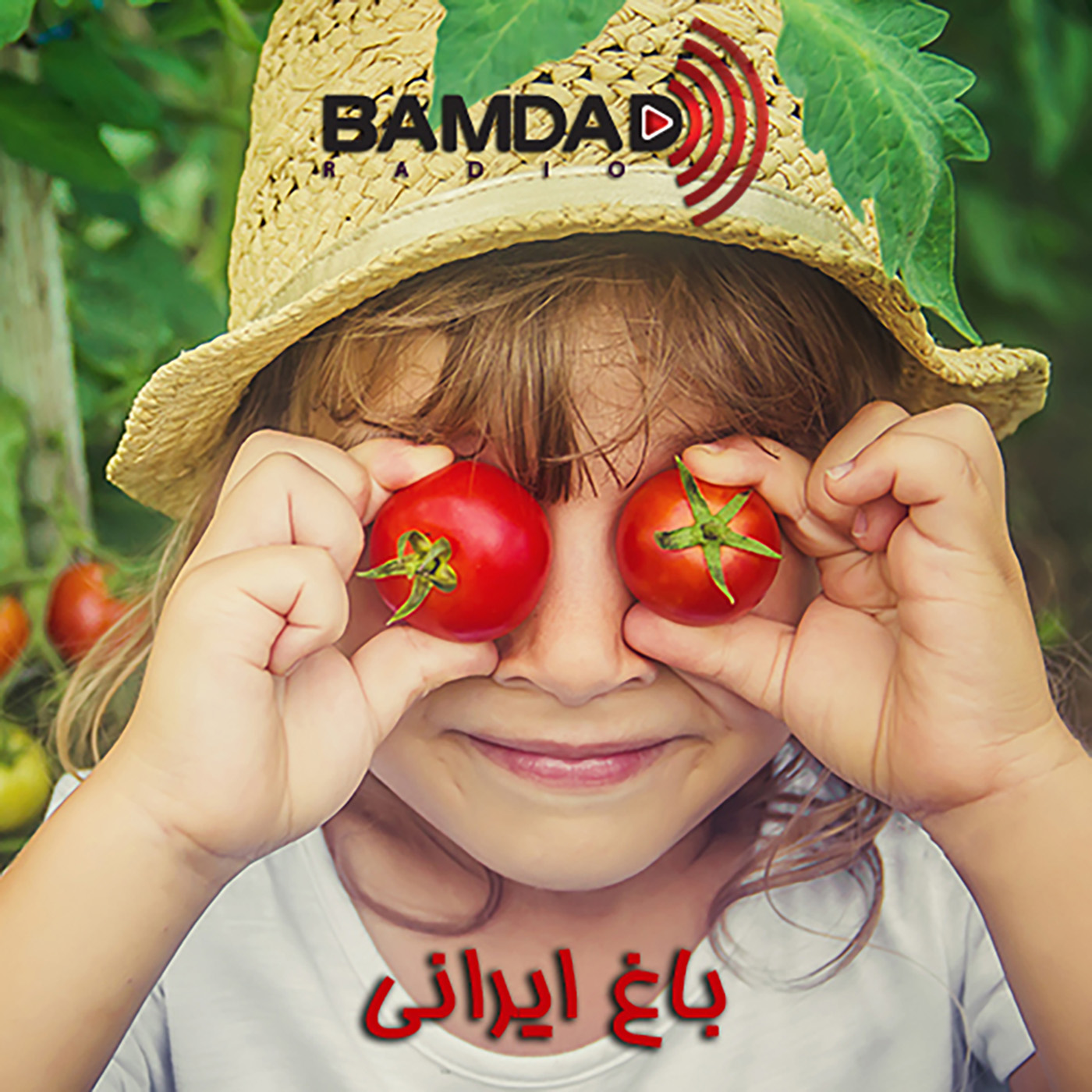 #88 - میوه کیوی