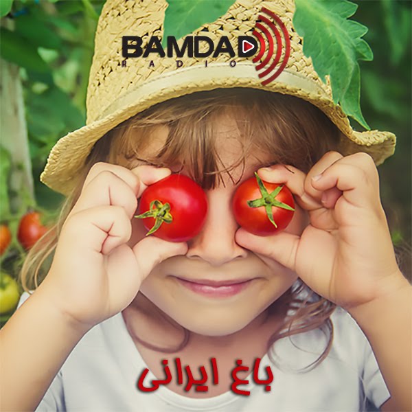 #83 - میوه کاکتوس یا انجیر تیغی