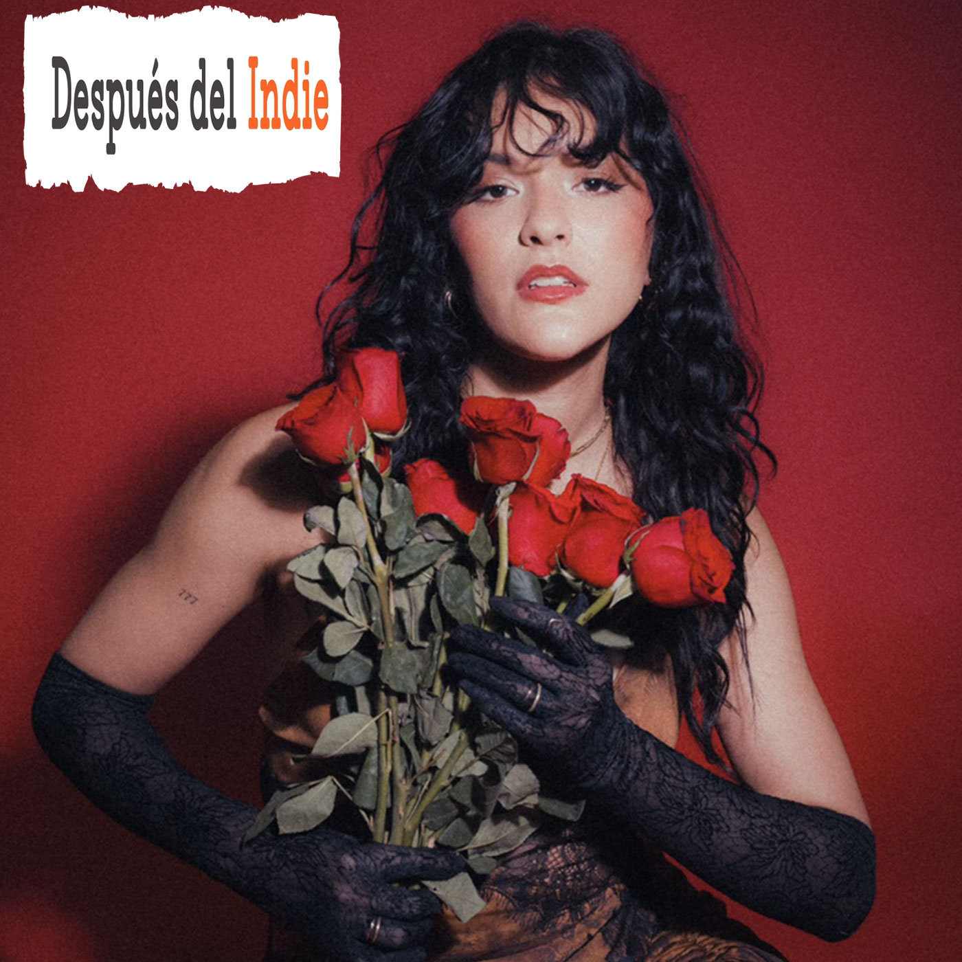 T1 - Episodio 8: Kafi (Después del Indie) episode artwork