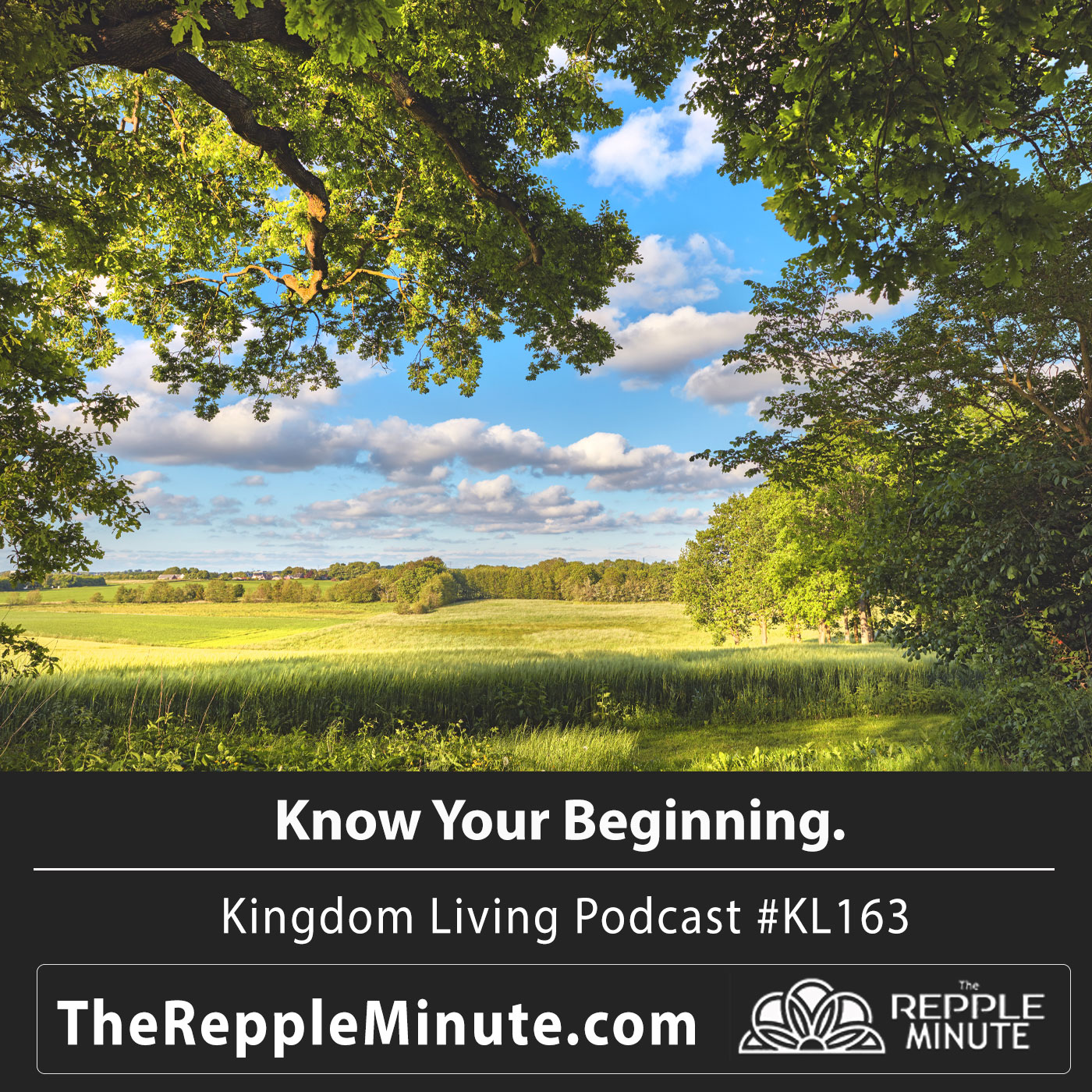 Know Your Beginning episode artwork