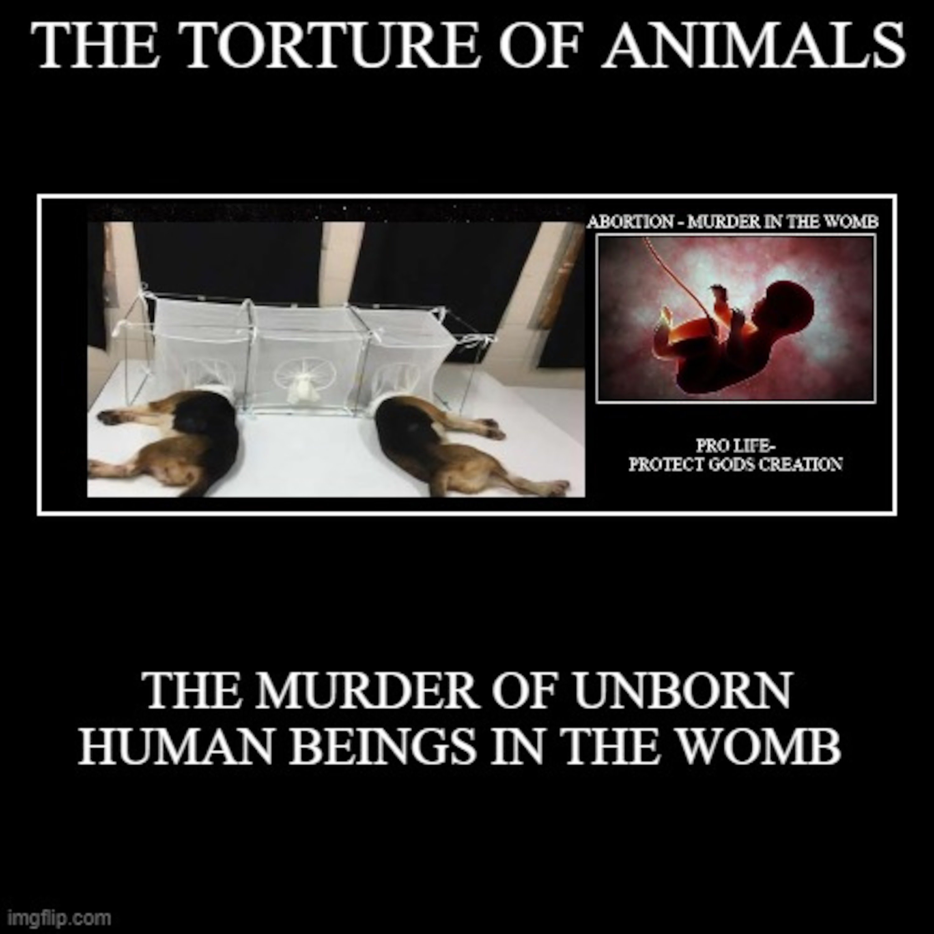 Episode 973: OCT 26 2021 SECRET AGENT MAN SHOW TODAY  CONGRESS DEMANDS ANSWERS - TORTURE OF BEAGLE PUPPIES FOR MEDICAL RESEARCH-TORTURE-YOU WANT TORUTRE LOOK NO FURTHER THAN ABORTION OF UNBORN HUMAN BEINGS. episode artwork